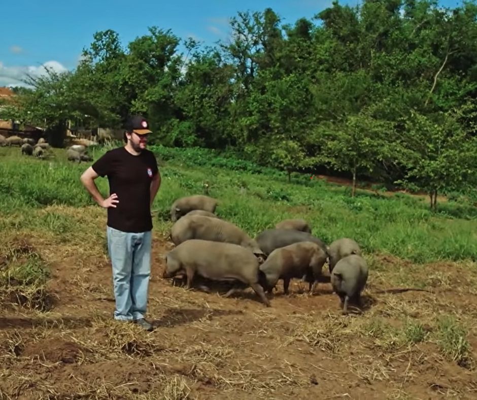 Nilo: O Resgate do Porco Preto Brasileiro